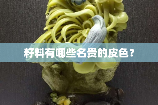 籽料有哪些名貴的皮色？
