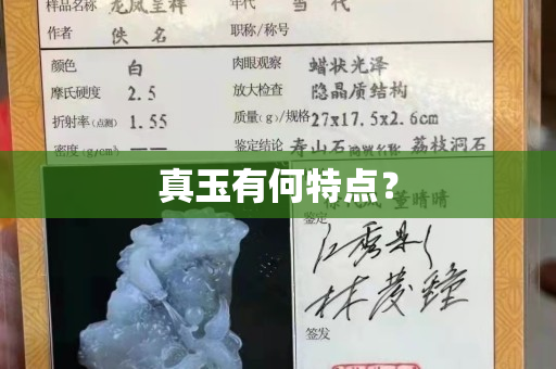 真玉有何特點(diǎn)？
