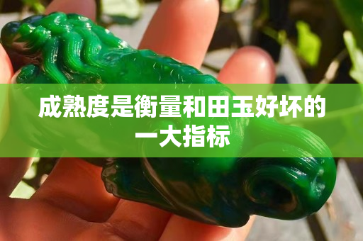 成熟度是衡量和田玉好壞的一大指標