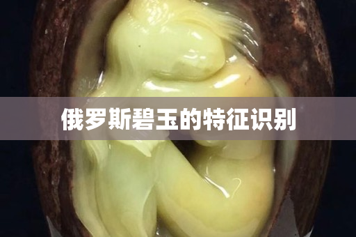 俄羅斯碧玉的特征識別