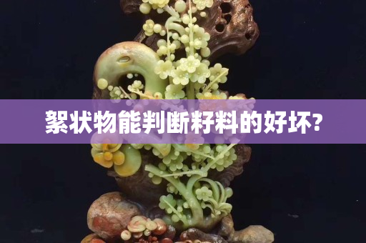 絮狀物能判斷籽料的好壞?