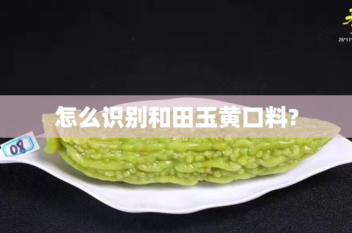 怎么識別和田玉黃口料?