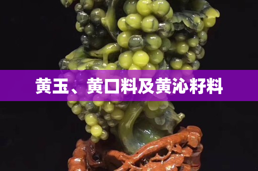 黃玉、黃口料及黃沁籽料
