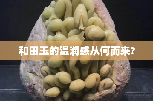 和田玉的溫潤感從何而來?