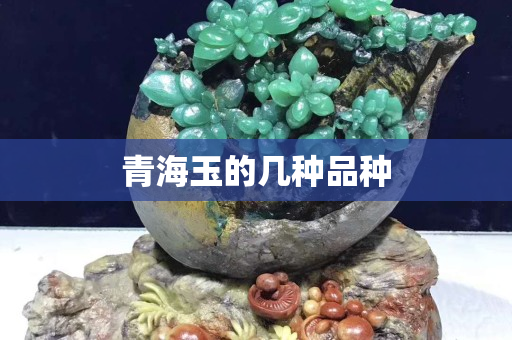 青海玉的幾種品種