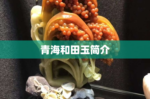 青海和田玉簡介