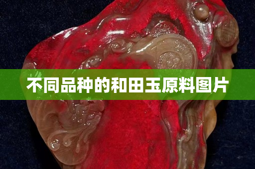 不同品種的和田玉原料圖片