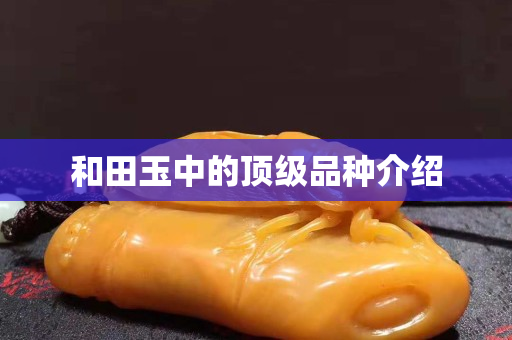 和田玉中的頂級(jí)品種介紹