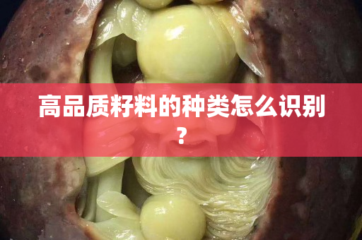 高品質籽料的種類怎么識別?