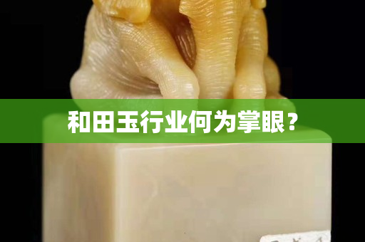 和田玉行業(yè)何為掌眼？
