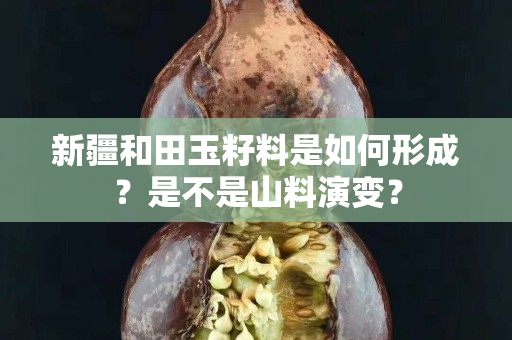 新疆和田玉籽料是如何形成？是不是山料演變？
