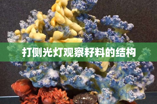 打側光燈觀察籽料的結構