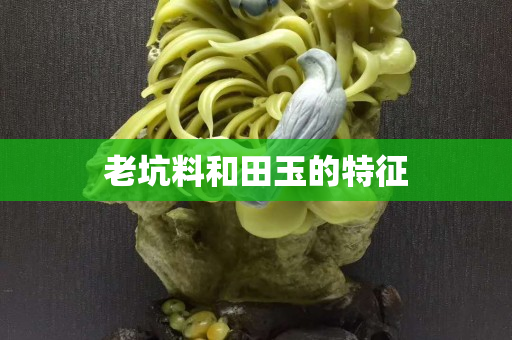 老坑料和田玉的特征