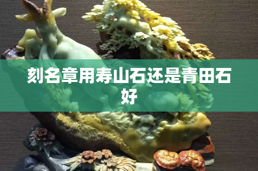 刻名章用壽山石還是青田石好