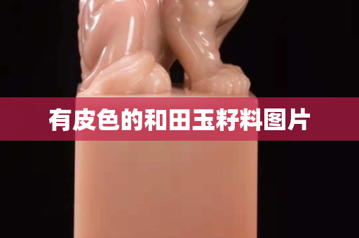 有皮色的和田玉籽料圖片
