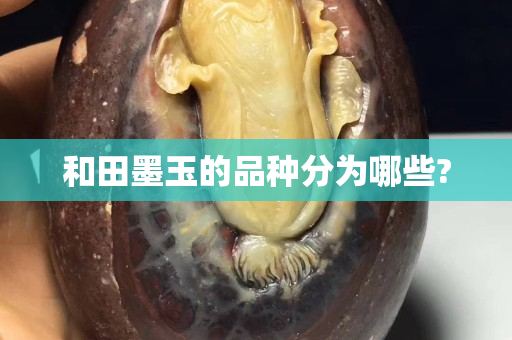 和田墨玉的品種分為哪些?