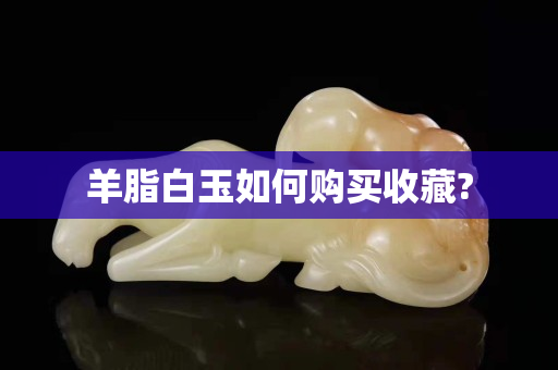 羊脂白玉如何購買收藏?