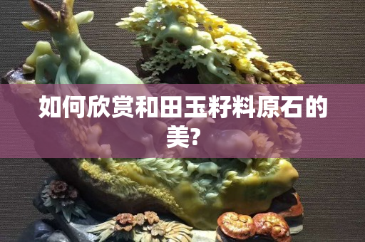 如何欣賞和田玉籽料原石的美?