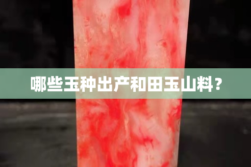 哪些玉種出產和田玉山料？