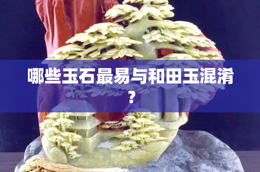 哪些玉石最易與和田玉混淆？
