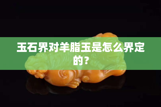 玉石界對羊脂玉是怎么界定的？