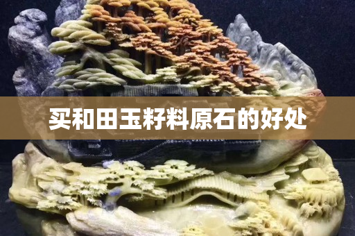 買和田玉籽料原石的好處