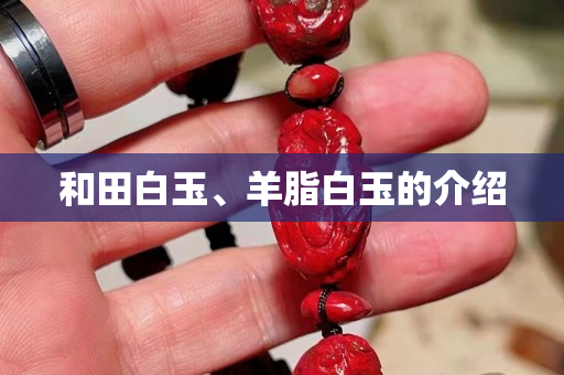 和田白玉、羊脂白玉的介紹