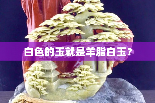 白色的玉就是羊脂白玉？