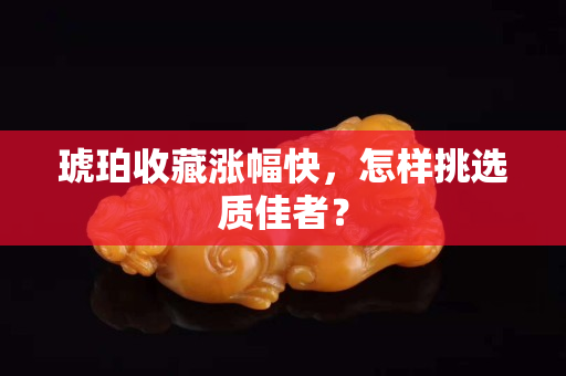 琥珀收藏漲幅快，怎樣挑選質佳者？