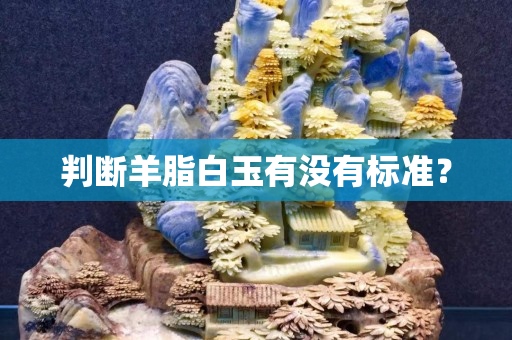 判斷羊脂白玉有沒有標準？