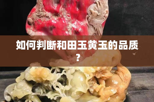 如何判斷和田玉黃玉的品質？