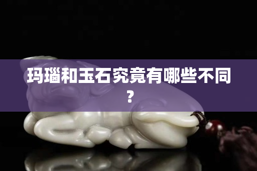 瑪瑙和玉石究竟有哪些不同？