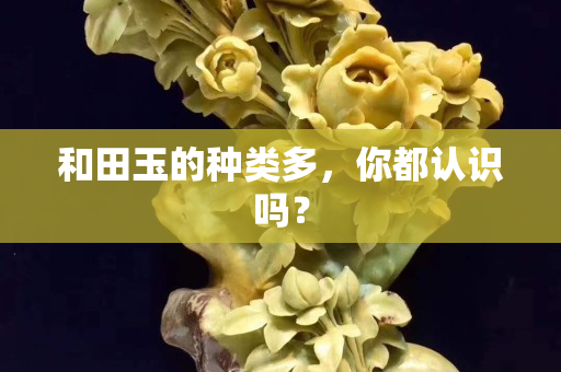 和田玉的種類多，你都認識嗎？