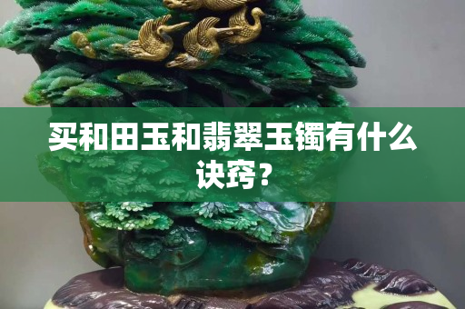 買和田玉和翡翠玉鐲有什么訣竅？