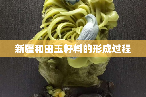 新疆和田玉籽料的形成過程