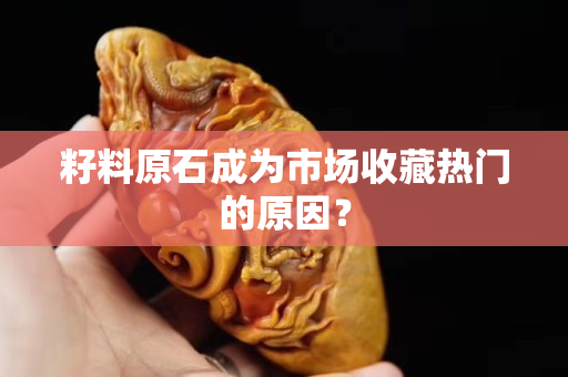 籽料原石成為市場(chǎng)收藏?zé)衢T的原因？