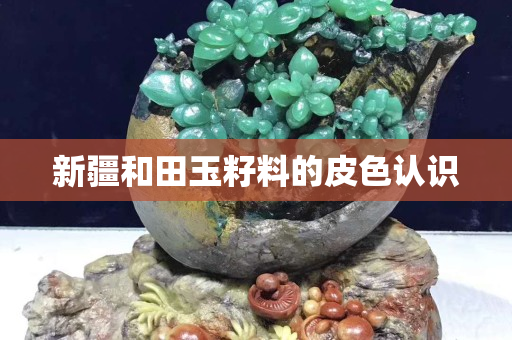 新疆和田玉籽料的皮色認識