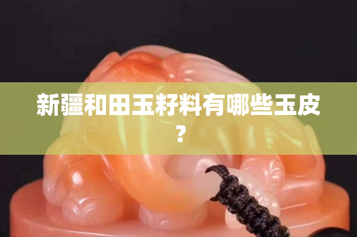 新疆和田玉籽料有哪些玉皮？