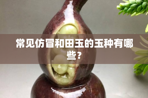 常見仿冒和田玉的玉種有哪些？