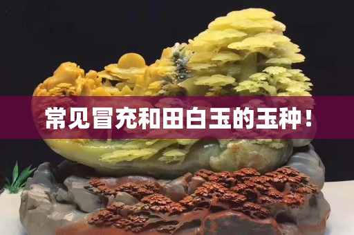 常見冒充和田白玉的玉種！