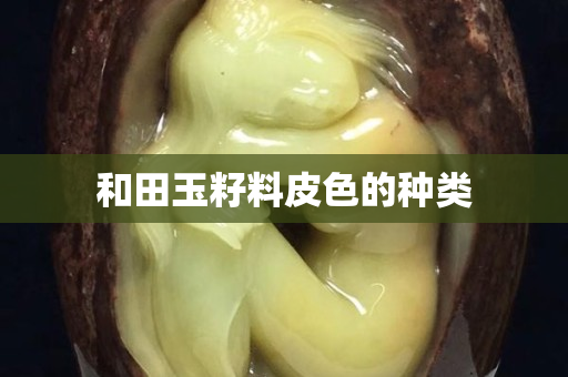 和田玉籽料皮色的種類