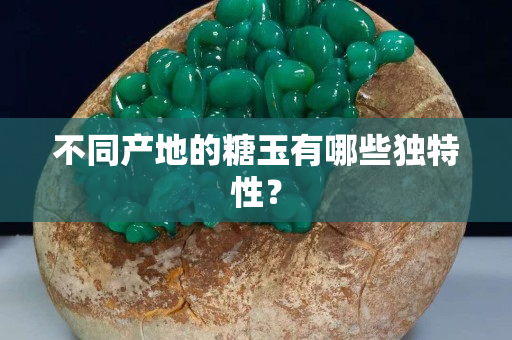 不同產地的糖玉有哪些獨特性？