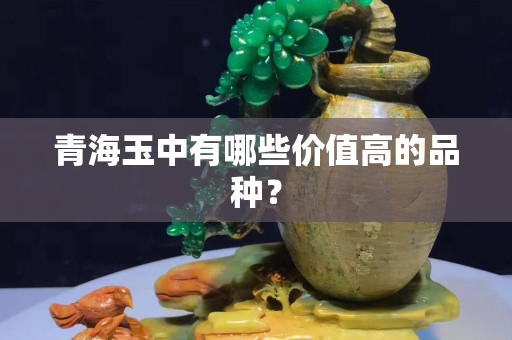 青海玉中有哪些價值高的品種？