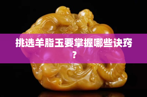 挑選羊脂玉要掌握哪些訣竅？