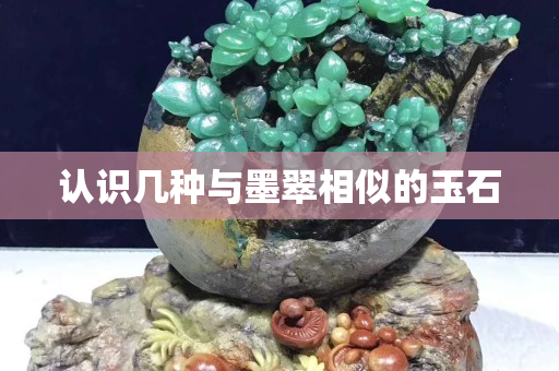 認識幾種與墨翠相似的玉石