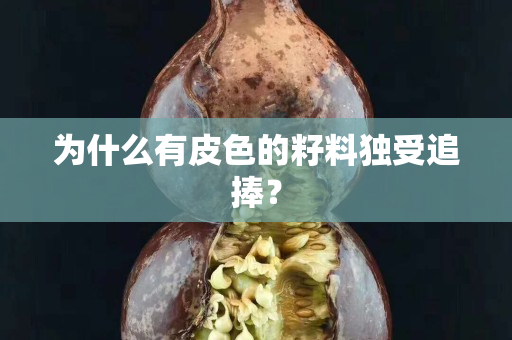 為什么有皮色的籽料獨受追捧？