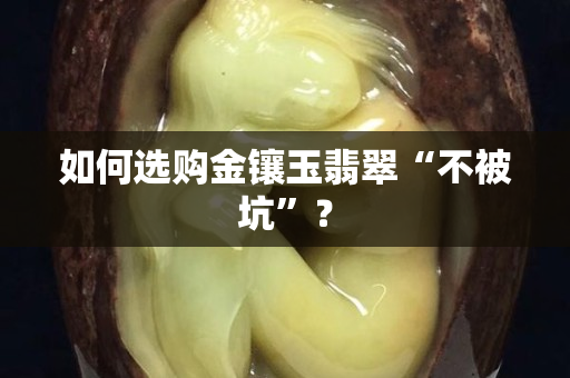 如何選購金鑲玉翡翠“不被坑”？