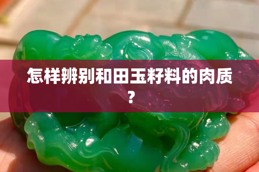 怎樣辨別和田玉籽料的肉質？