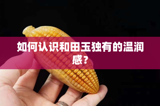 如何認識和田玉獨有的溫潤感？