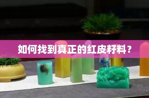 如何找到真正的紅皮籽料？